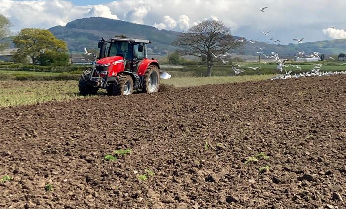 tractor ploughing field